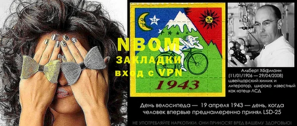 прущие грибы Ладушкин