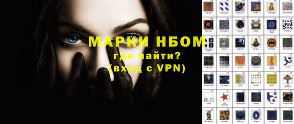прущие грибы Ладушкин