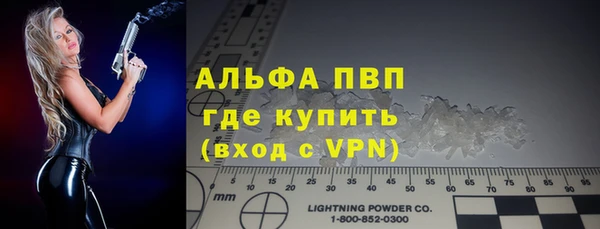 прущие грибы Ладушкин