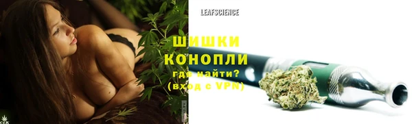 PSILOCYBIN Лагань