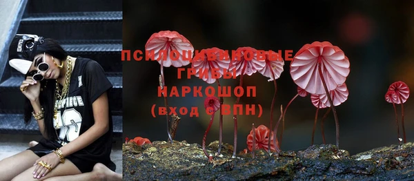 прущая мука Лабытнанги