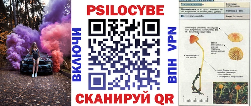 Галлюциногенные грибы мицелий  Малгобек 