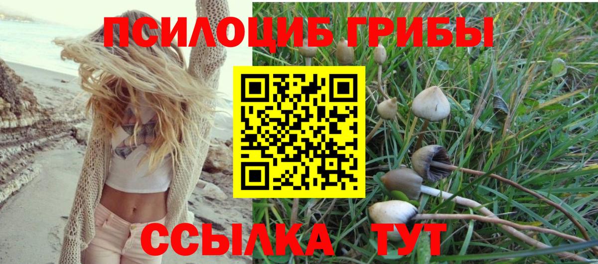 Псилоцибиновые грибы Psilocybine cubensis  дарнет шоп  Малгобек  Вход с VPN 