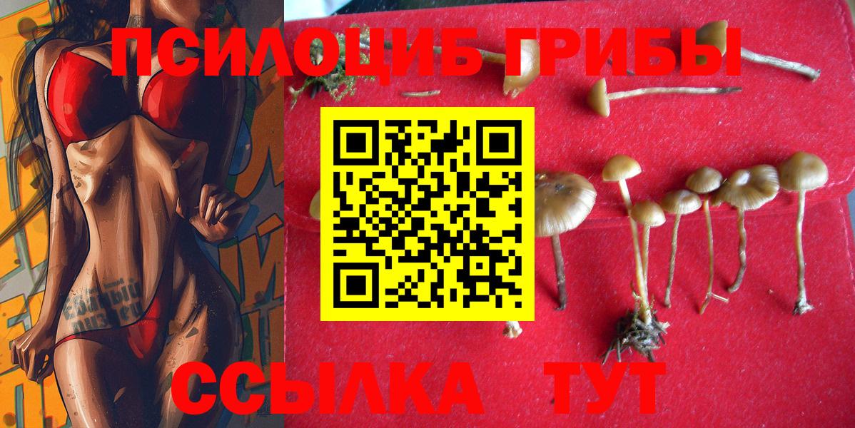 Псилоцибиновые грибы GOLDEN TEACHER Малгобек